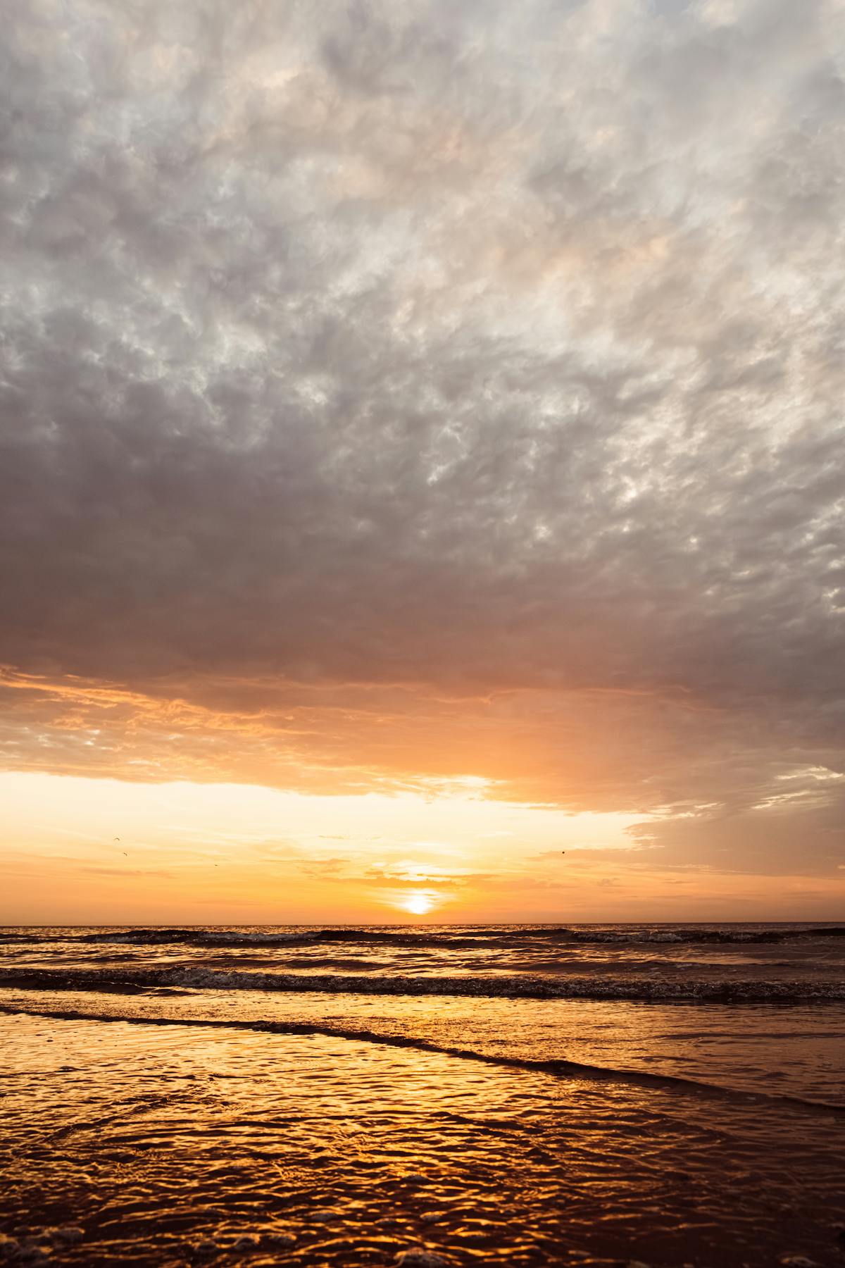 West Heights Mission elevated views family