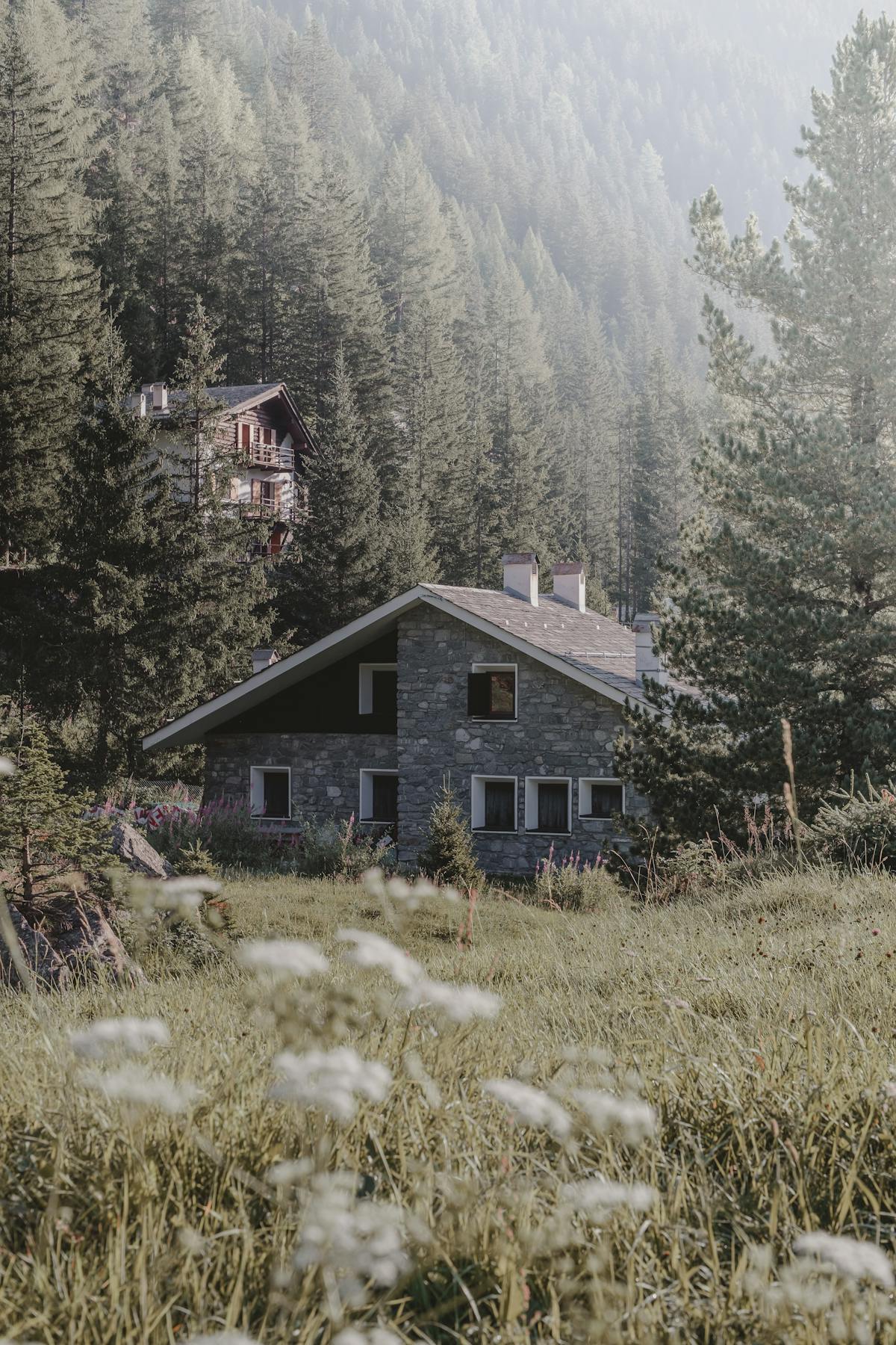 Lynn Valley North Vancouver suspension bridge family neighborhood