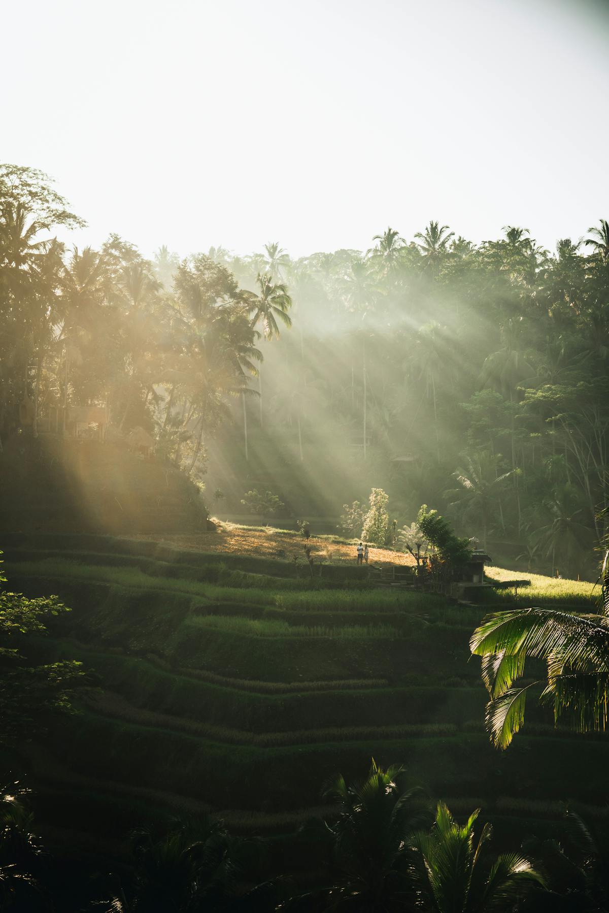 Osprey Village Pitt Meadows waterfront Pitt River