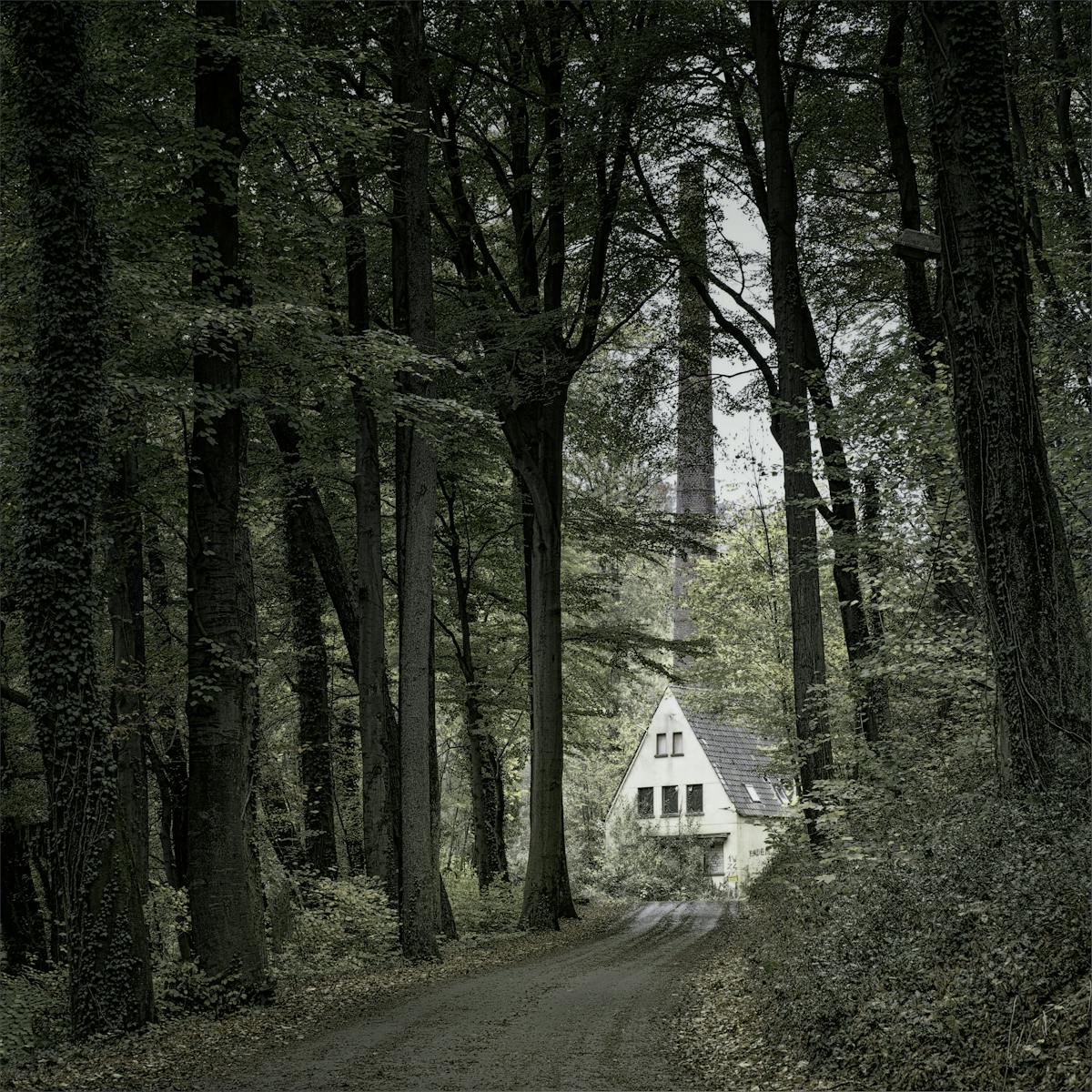 English Bluff Tsawwassen elevated views oceanfront park